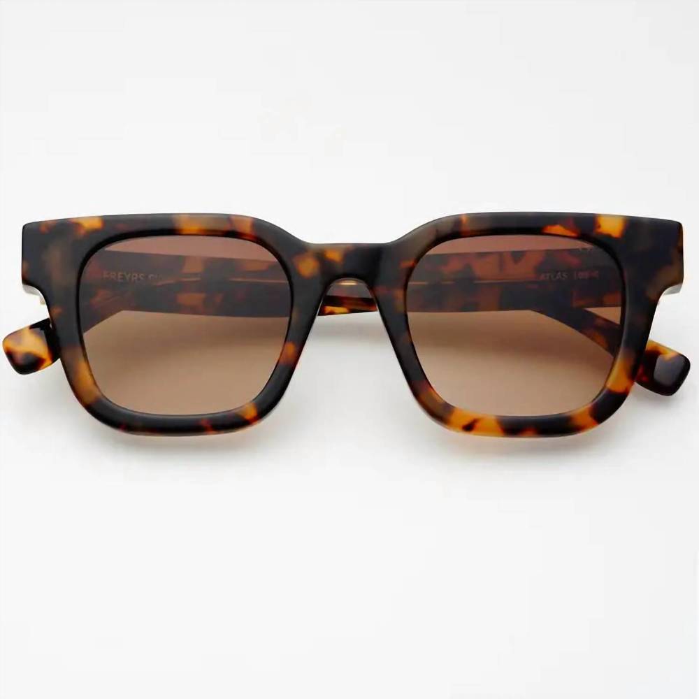 Freyrs Atlas Tortoise - Picture 2 of 5